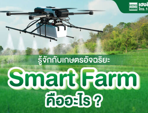 ทำความรู้จักกับ เกษตรอัจฉริยะ สมาร์ทฟาร์ม Smart farm คืออะไร?